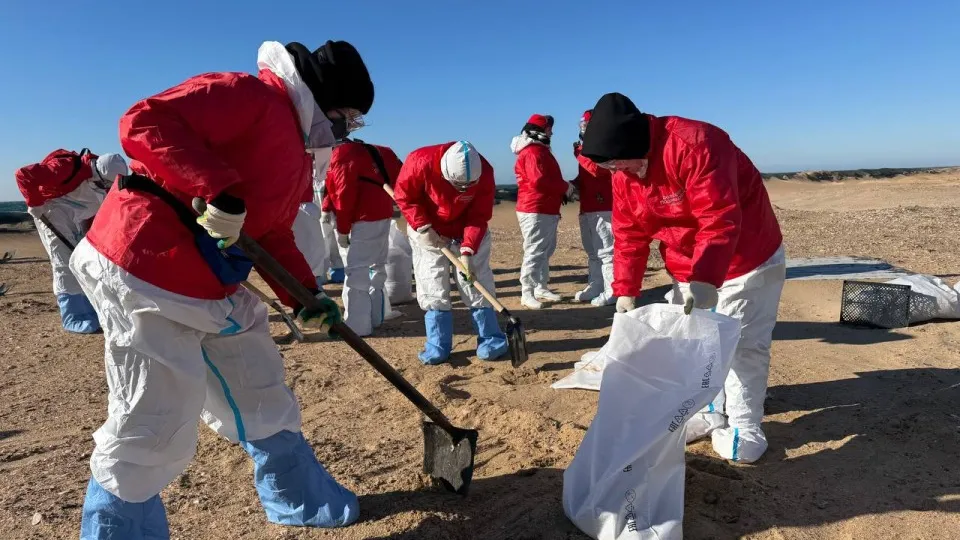 Фото: t.me/mikhalkov_official