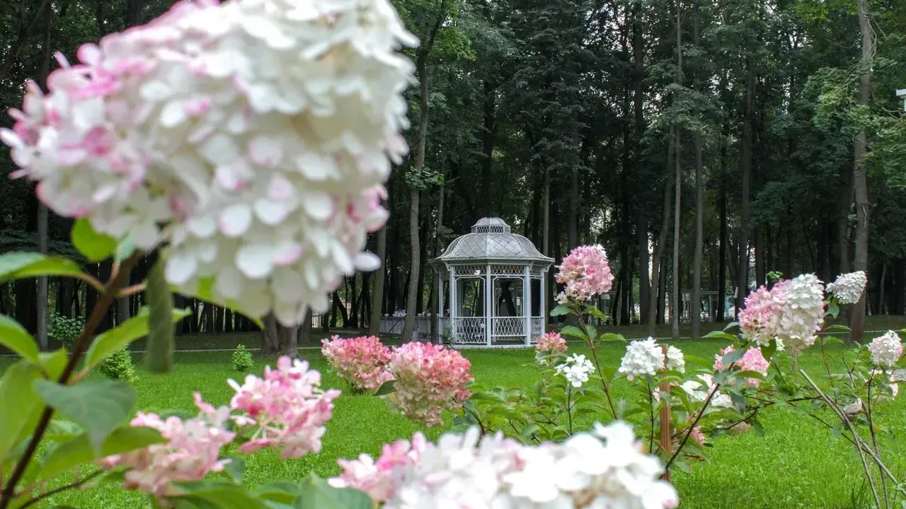 Министерство благоустройства Московской области