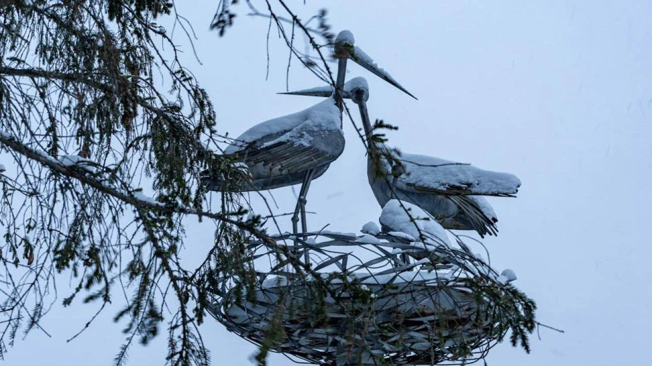 REGIONS/Роман Малышенко