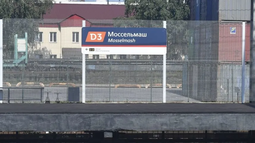 Фото: РИА Новости/Михаил Воскресенский