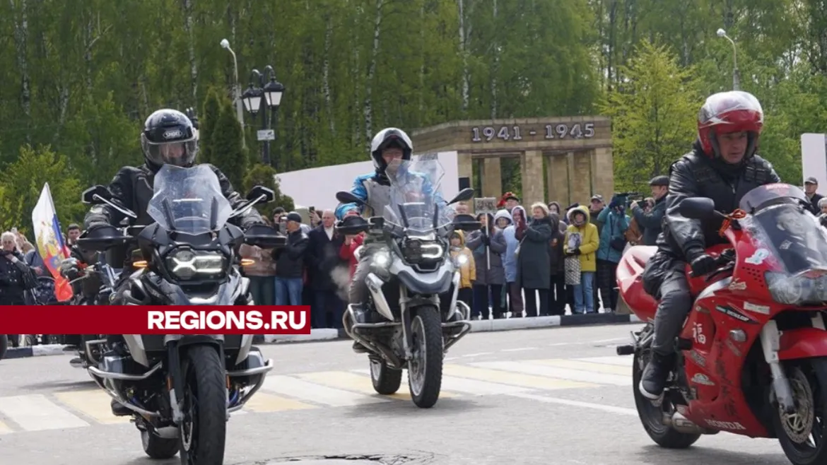 Фото: Алена Притула