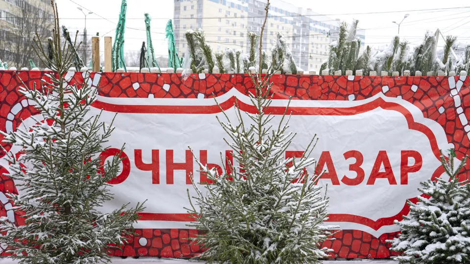 Фото: администрация Ленинского г.о.