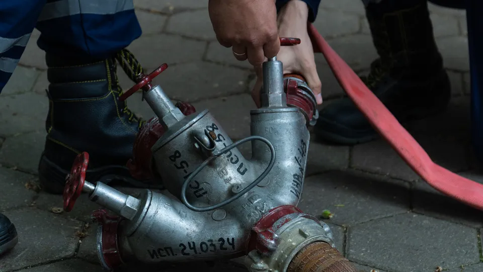 Фото: REGIONS/Наталия Надточая