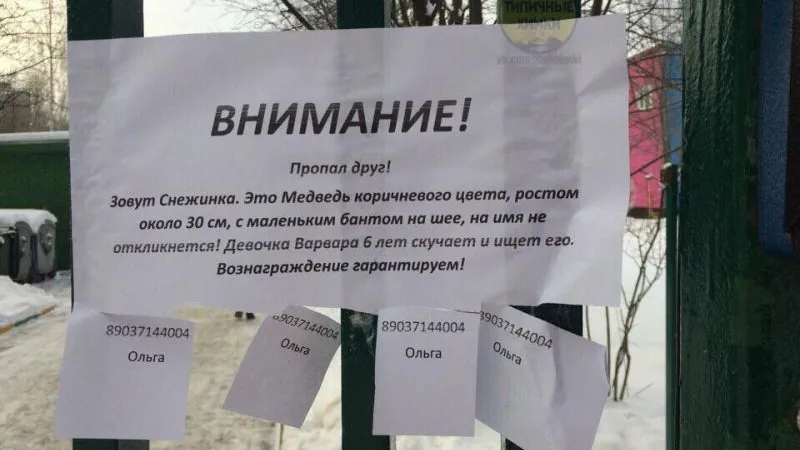 Медведя по кличке Снежинка потеряли в Химках