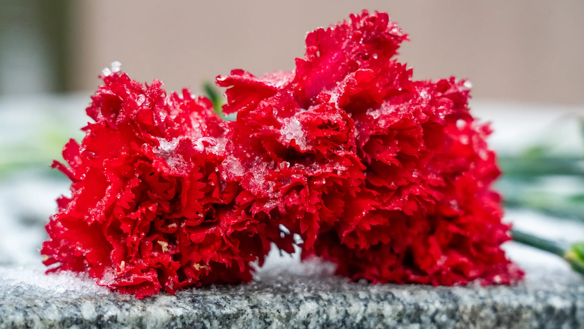 медиасток.рф