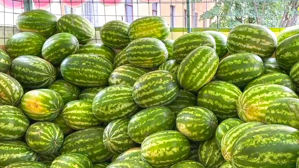 Фото: Ксения Казакова