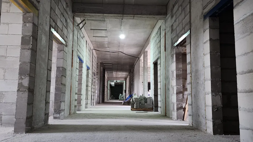 Фото: Валерия Тингаева