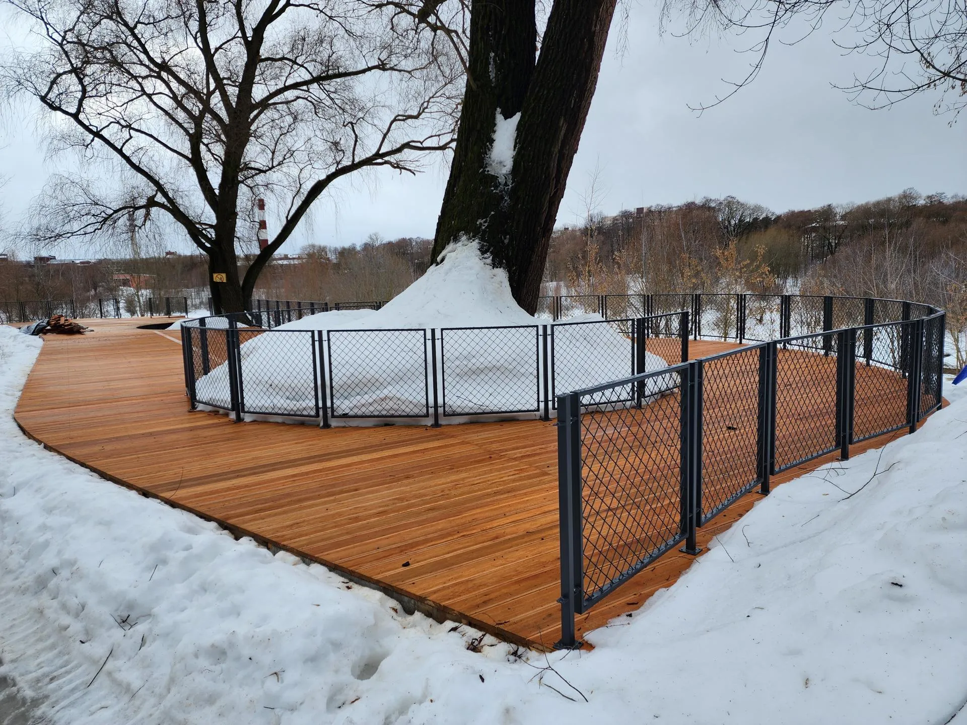 МедиаБанк Подмосковья/Ирина Моисеева