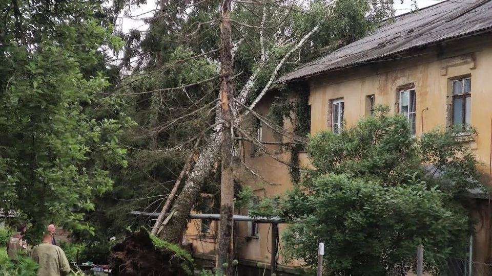 Фото: t.me/ruzadistrict