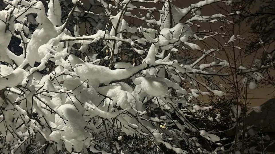 Фото: REGIONS/Анастасия Малышенко