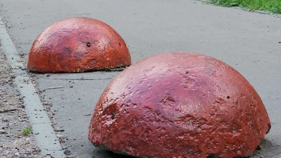 Фото: МедиаБанк Подмосковья/Никита Сморкалов