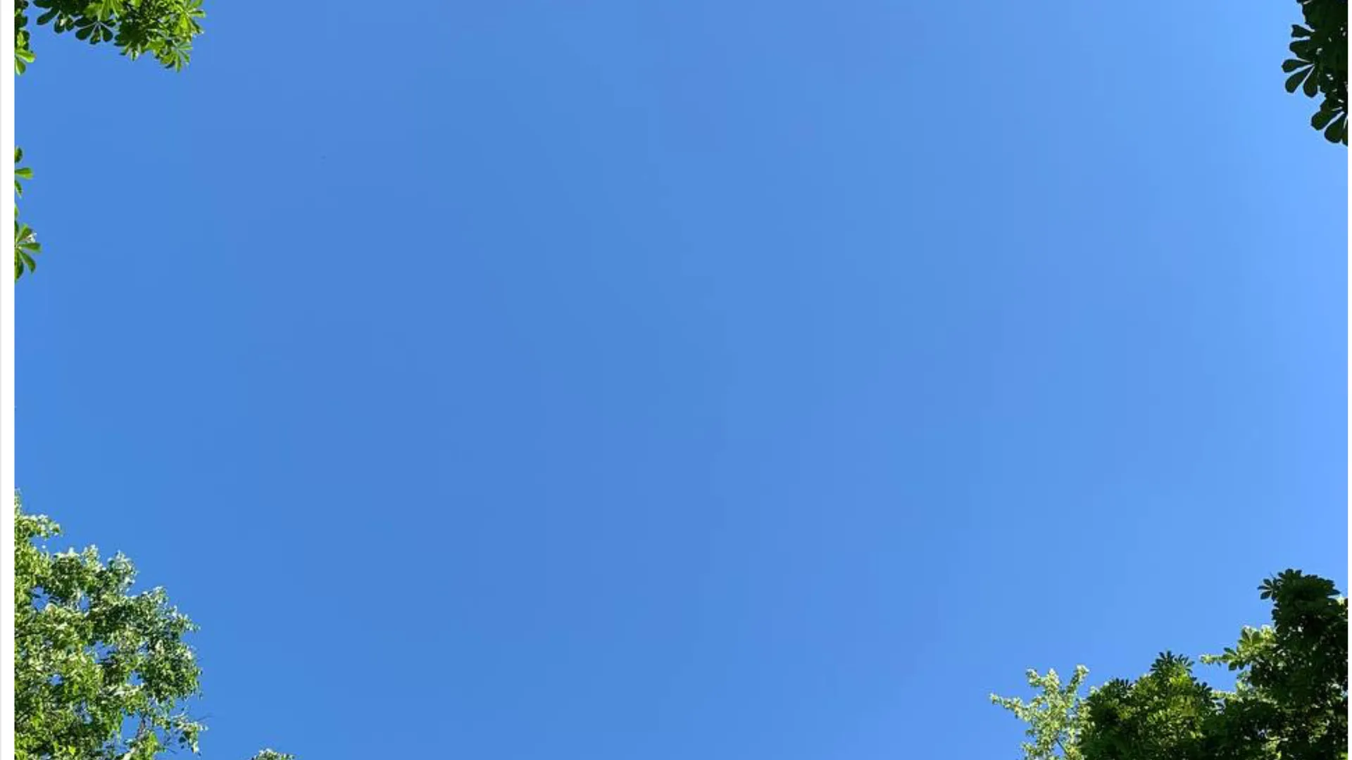 Фото: Елена Фурман