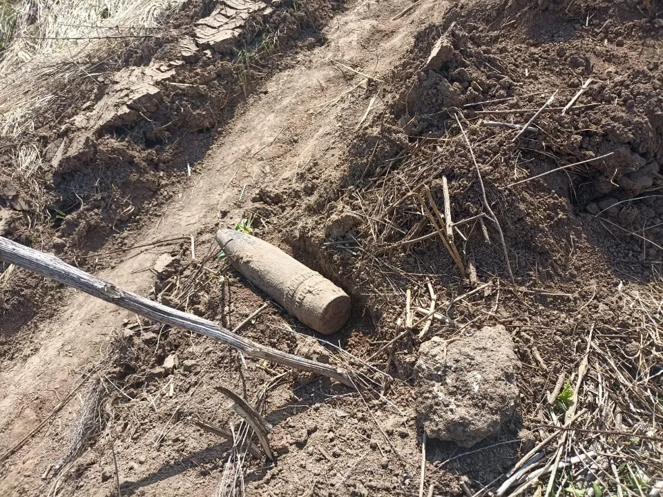 Фото: ГКУ МО «Мособлпожспас»