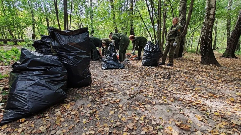 Фото: Комитет лесного хозяйства Московской области