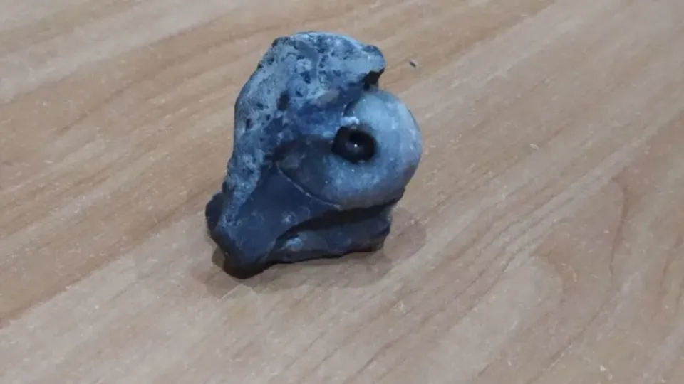 Фото: городская доска объявлений