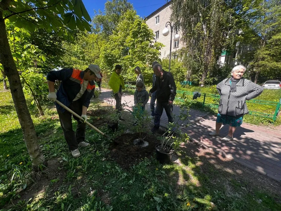 Фото: Администрации городского округа Люберцы