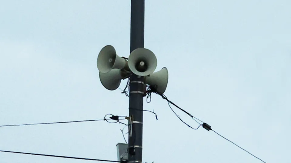 Фото: МедиаБанк Подмосковья/Дмитрий Павлов