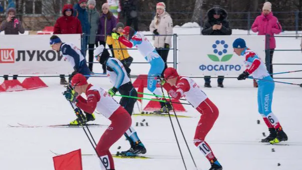 Фото: Фотобанк Московской области