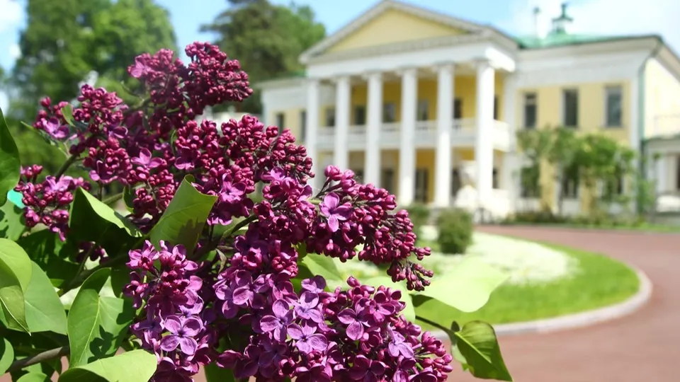 Фото: музей-заповедник «Горки Ленинские»