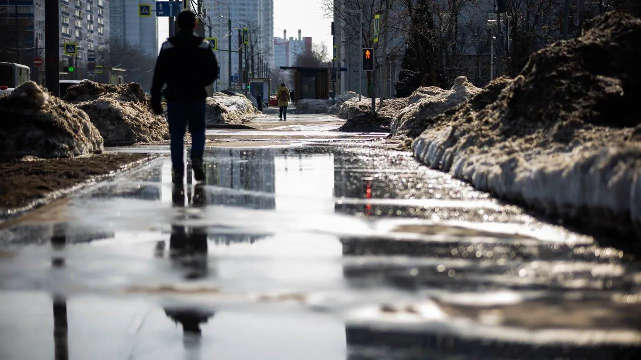 REGIONS/Роман Малышенко