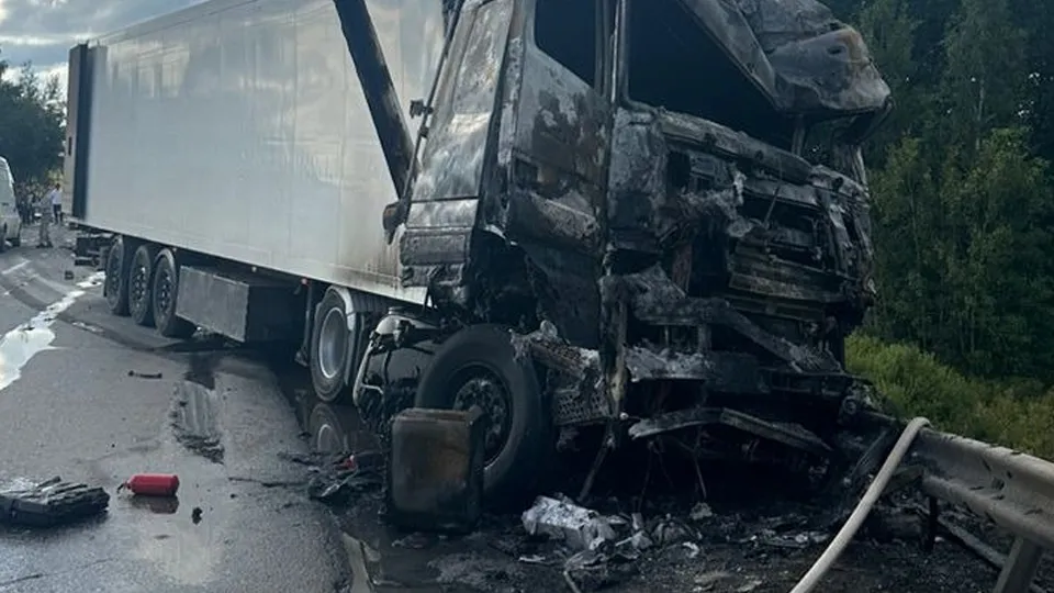 Фото: пресс-служба ГУ МВД России по Московской области