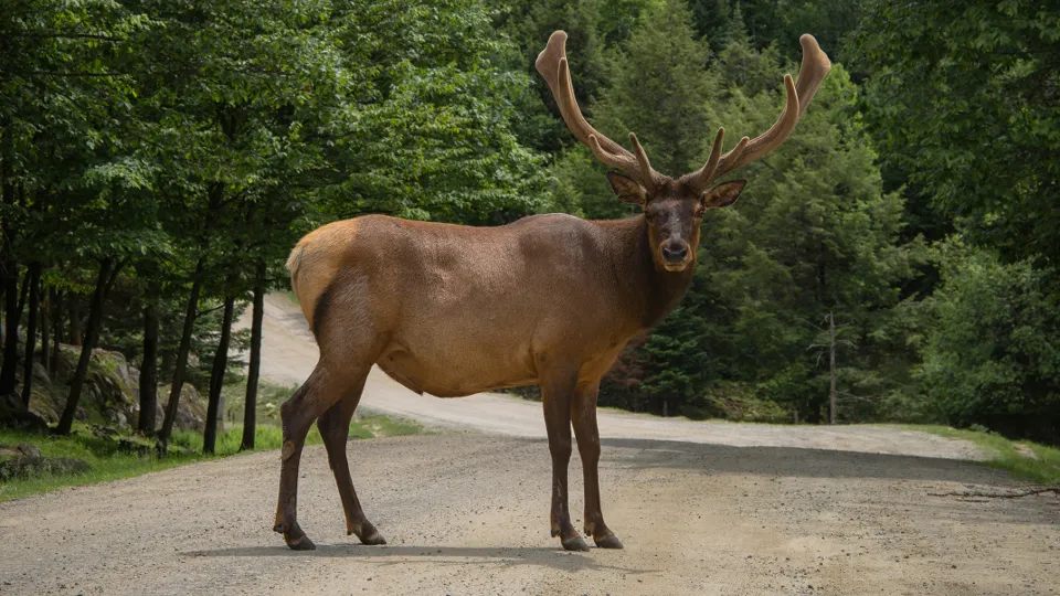 Фото: unsplash.com