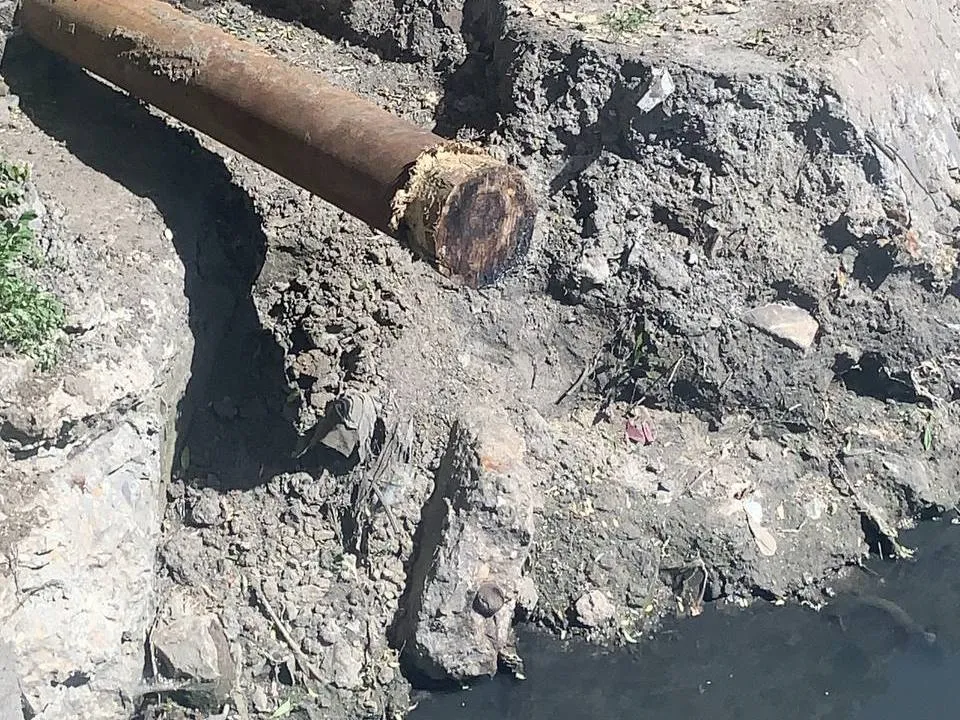 Фото: управление экологии городского округа Мытищи