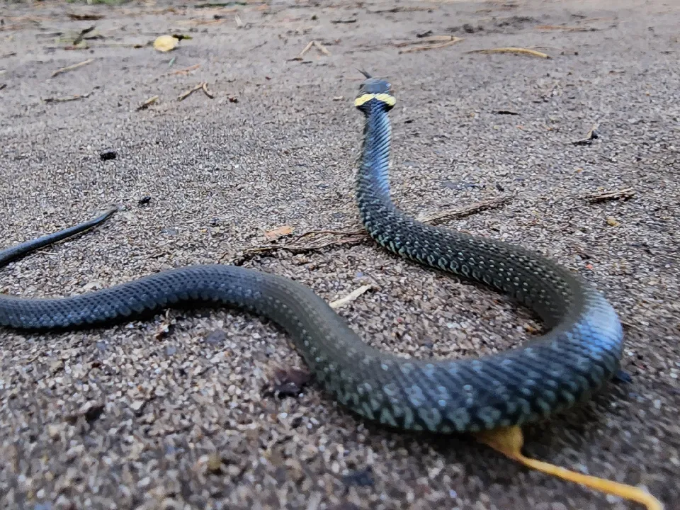 Фото: МедиаБанк Подмосковья/Виталий Сид