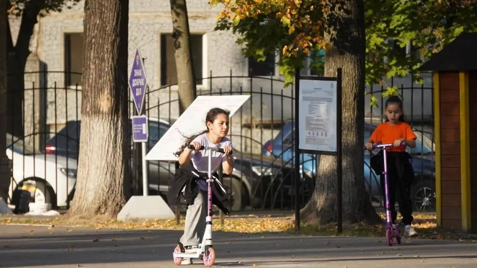 Фото: Министерство благоустройства Московской области