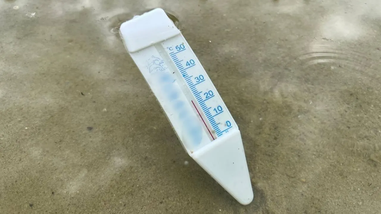 REGIONS/Елена Фурман