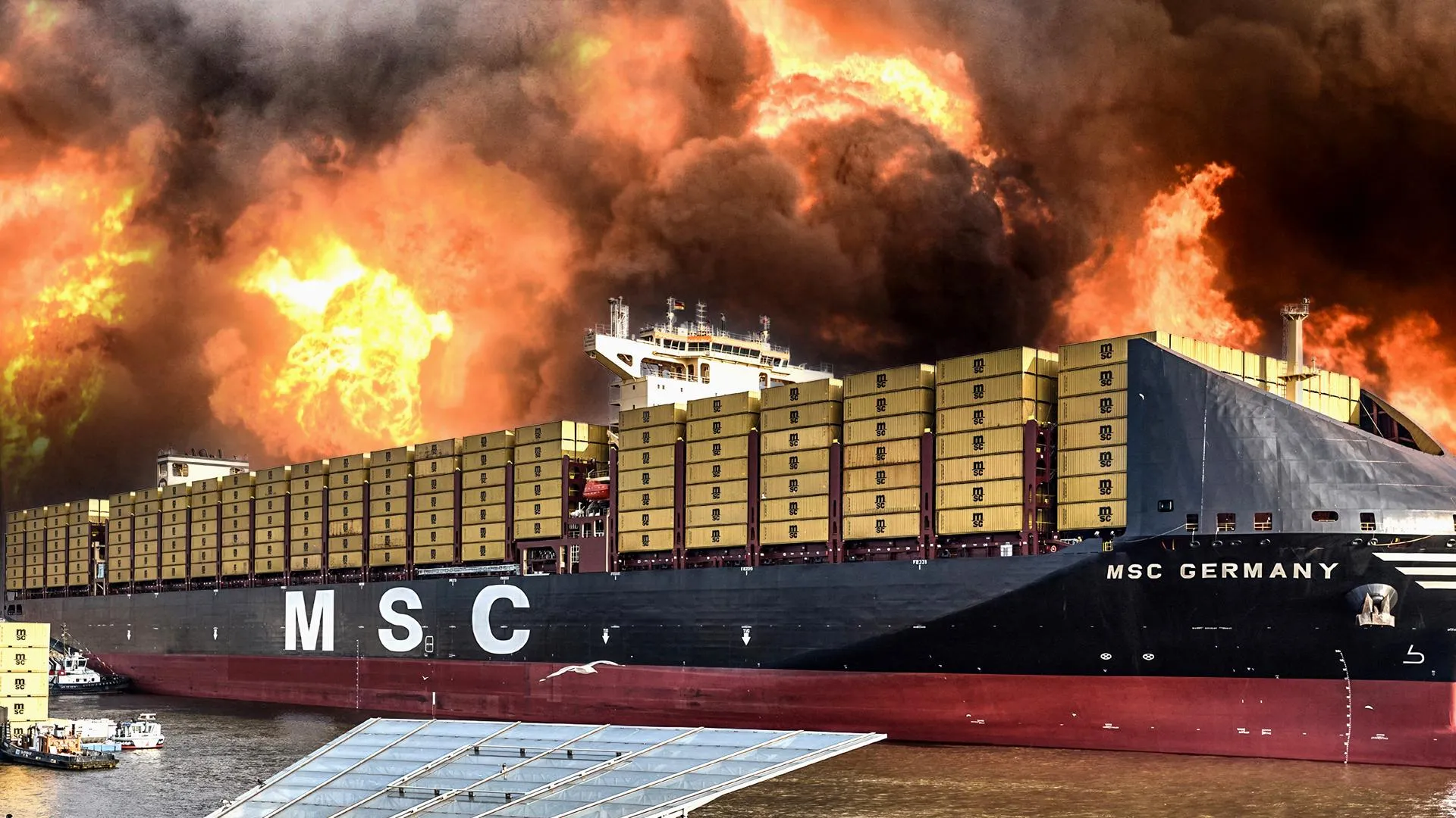 Hussain Ali,  Georg Wendt, Chinafotopress/Zhang Wei