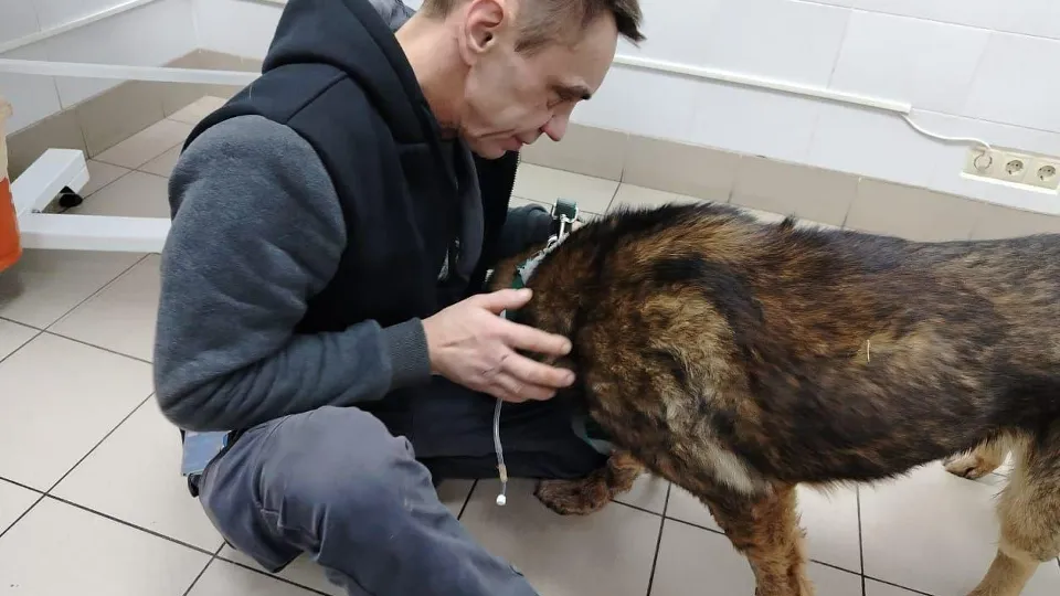 Фото: предоставлено пострадавшим