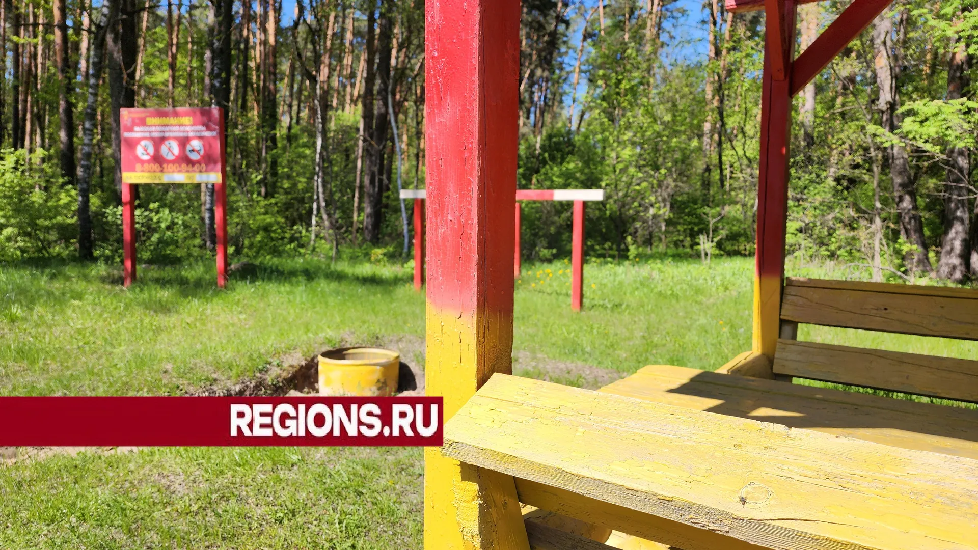 Фото: Светлана Плотникова