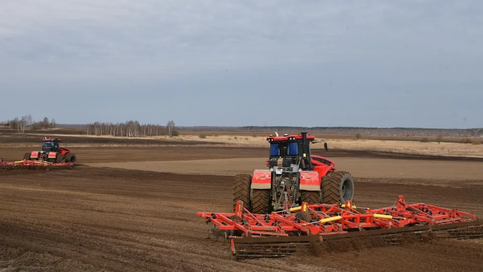 Фото: Владимир Останин