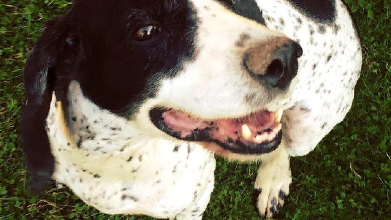 REGIONS/Илья Попов