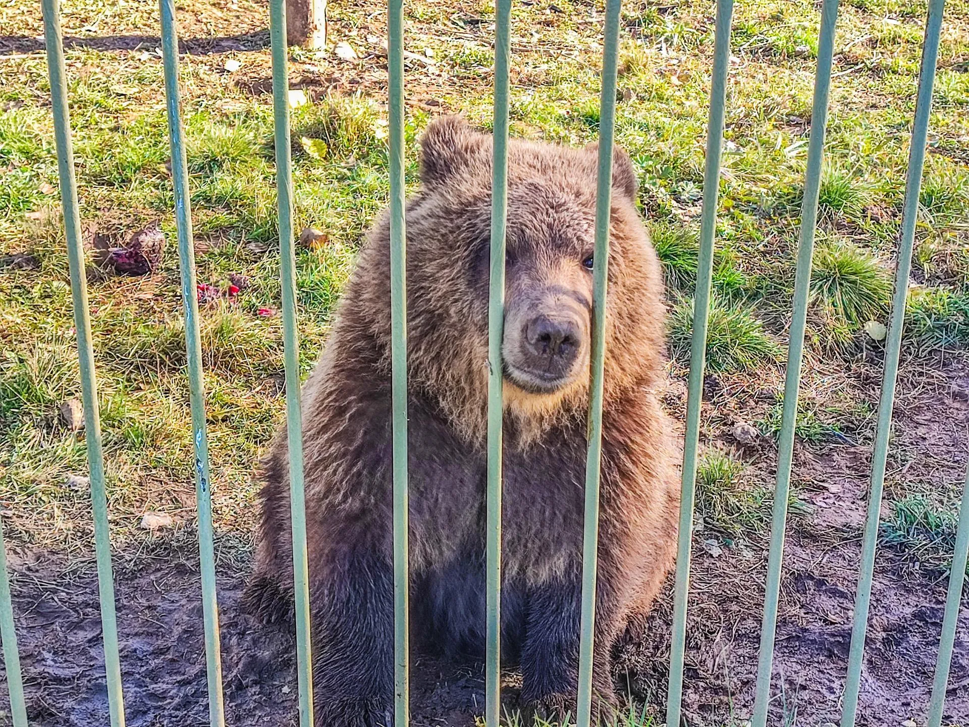 Данила Кирьянов