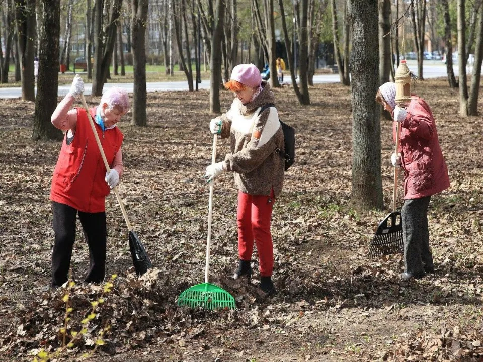 Фото: пресс-служба администрации г.о. Долгопрудный