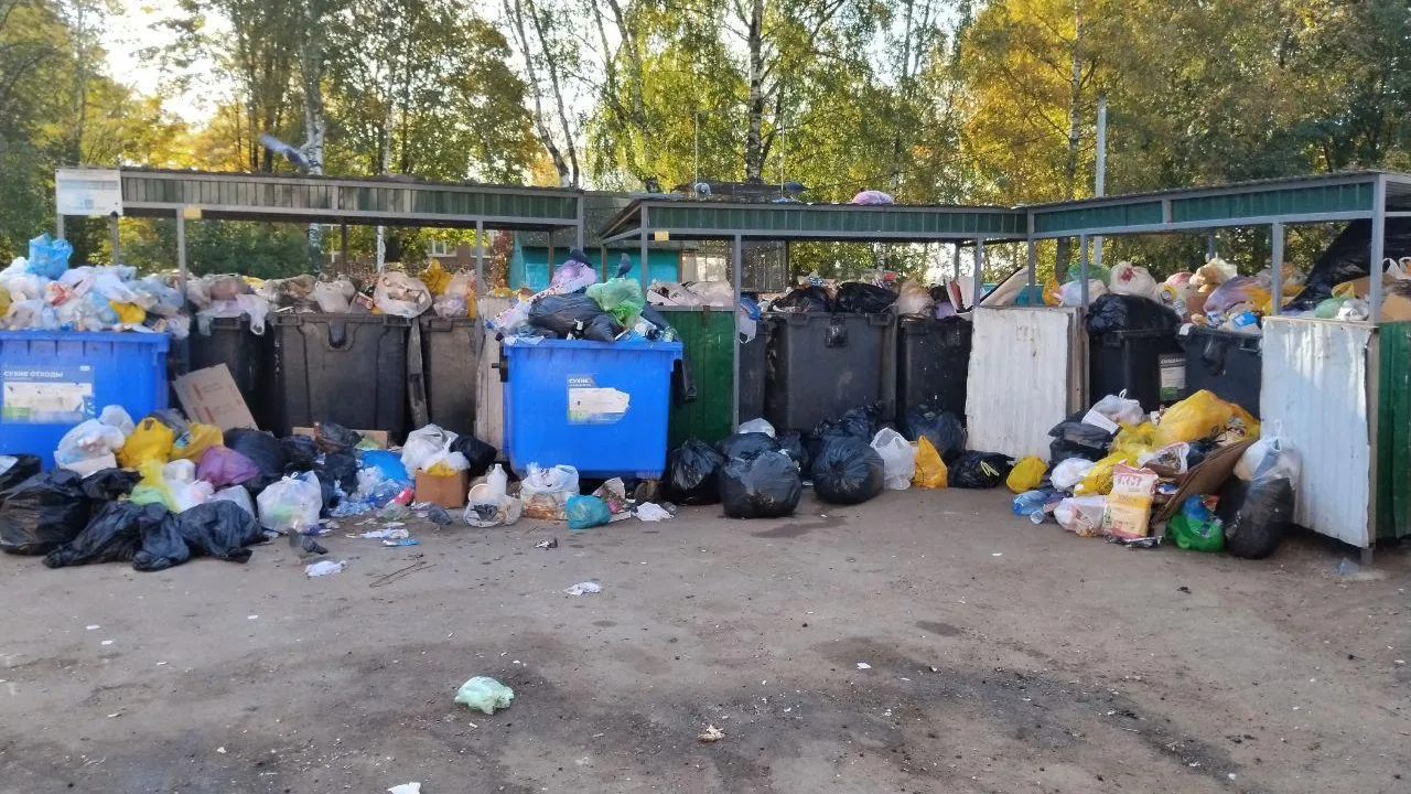 Фото: Око Солнечногорска / Telegram