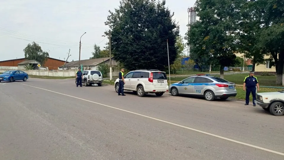 Фото: Госавтоинспекция г.о. Серебряные Пруды