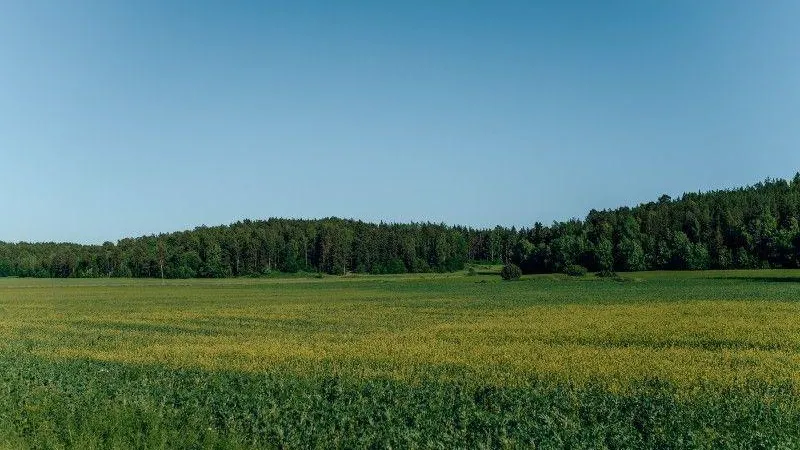 В Подмосковье заработал цифровой сервис по подбору земель сельхозназначения