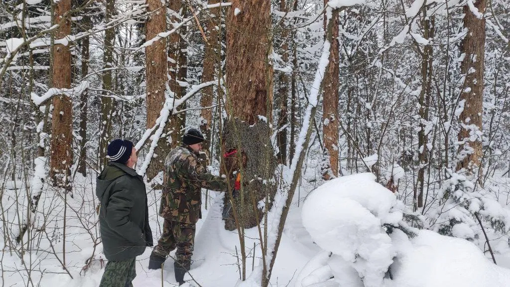 Комитет лесного хозяйства Московской области