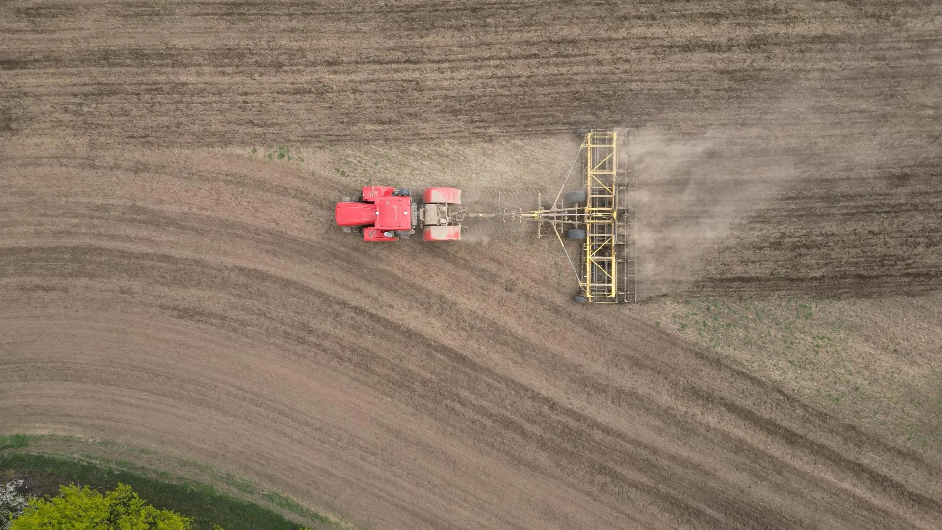 Фото: ООО «888»