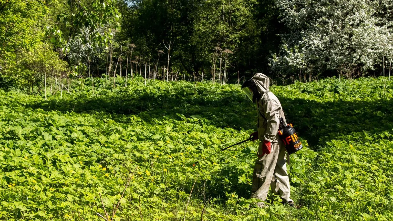 Фото: Медиаархив Подмосковья