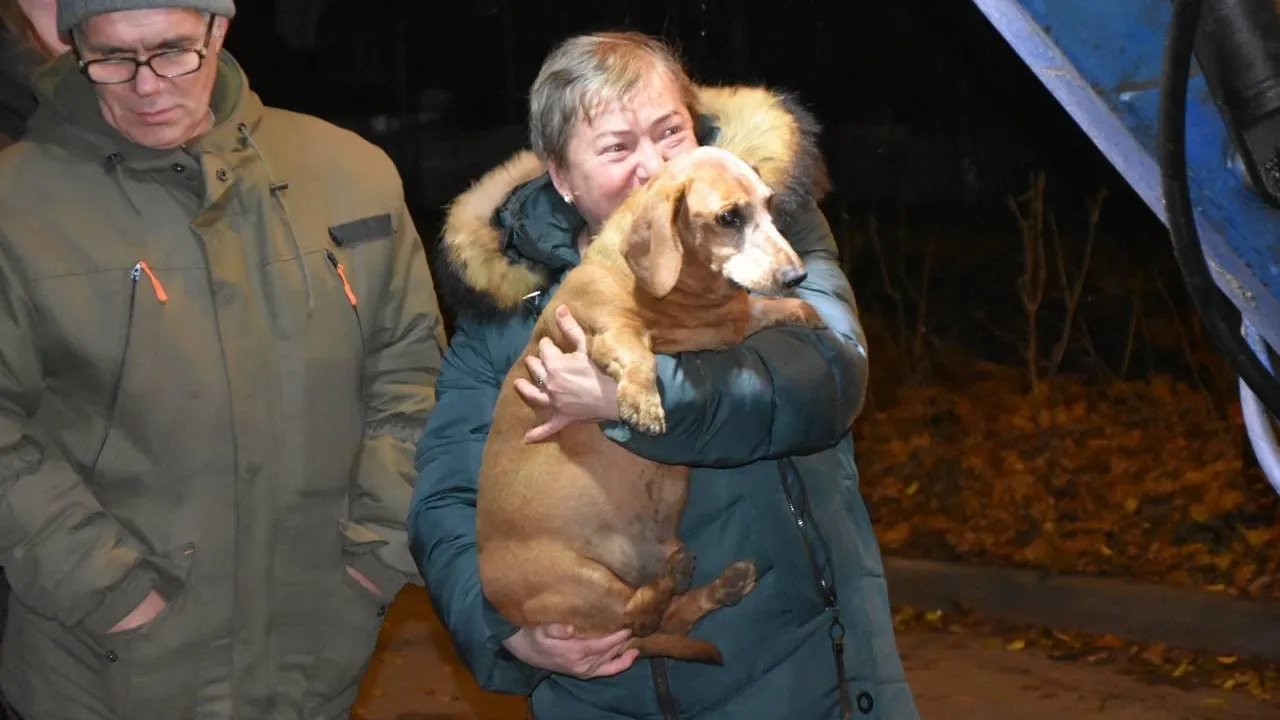 Фото: Telegram-канал «Официальный Подольск»