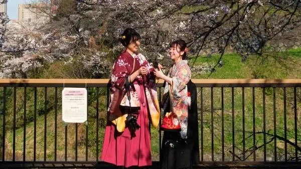 В Японии спрогнозировали экономический эффект от сезона цветения сакуры