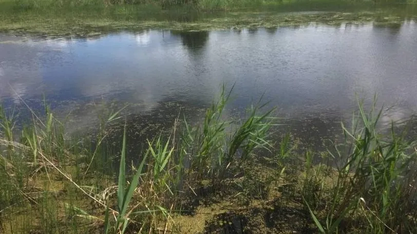 Фото Минэкологии МО.