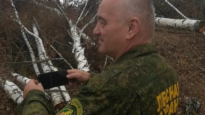 Комитет лесного хозяйства Московской области