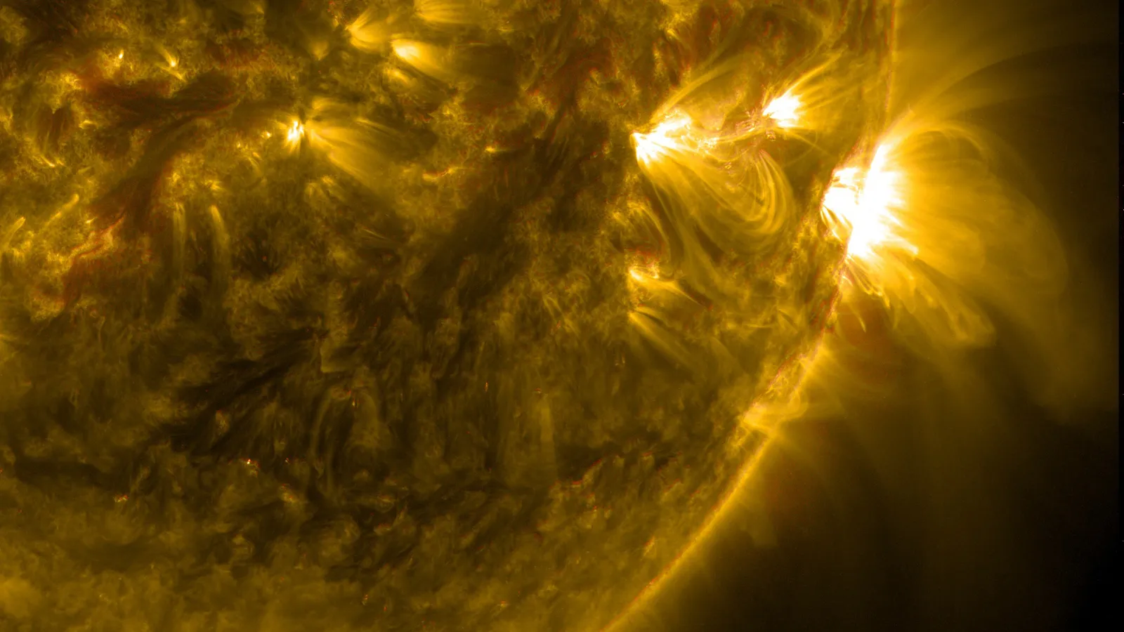 Фото: pxhere.com