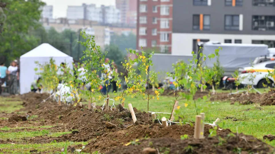 Фото: пресс-служба администрации г.о. Химки