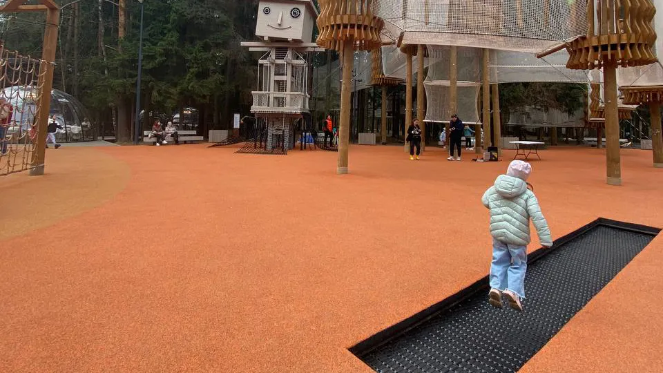 Фото: REGIONS/Алена Мельникова